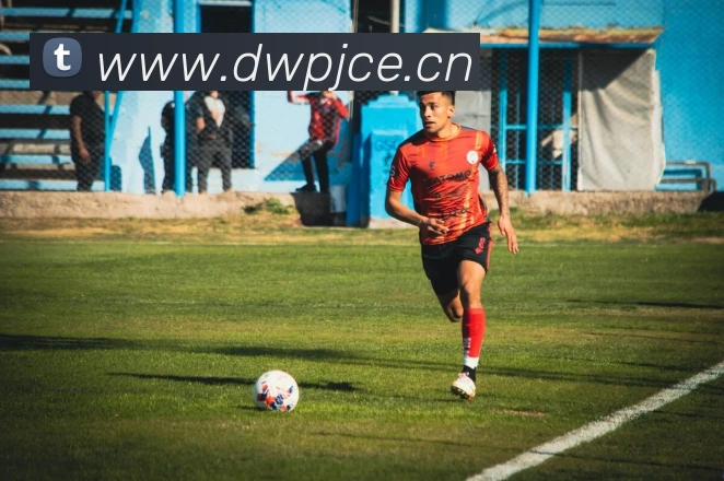 星空体育网页登录版服务体系